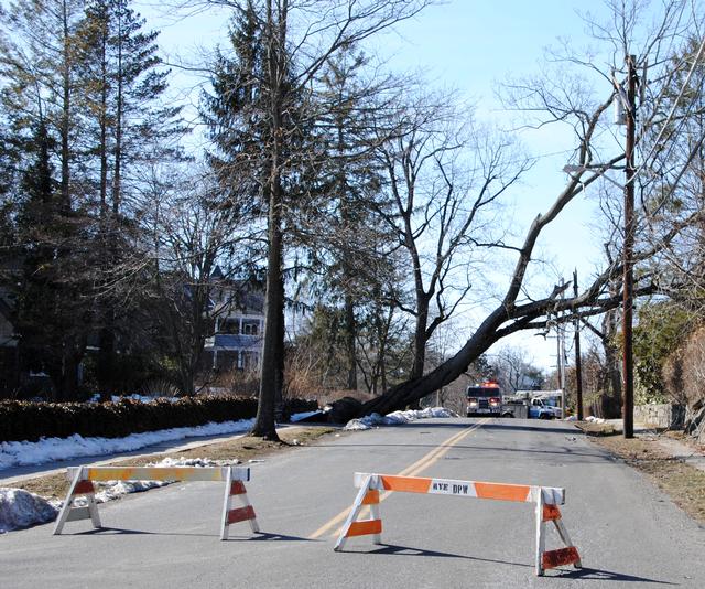 Rye FD assisted Rye PD with traffic control while Con Ed and Rye DPW tend to a tree that knocked out power to the immediate area.  The tree came down near the intersection of Apawamis Ave and Brown St 3/9/14