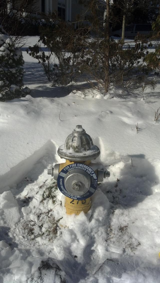Please dig out hydrants!  1/22/14
