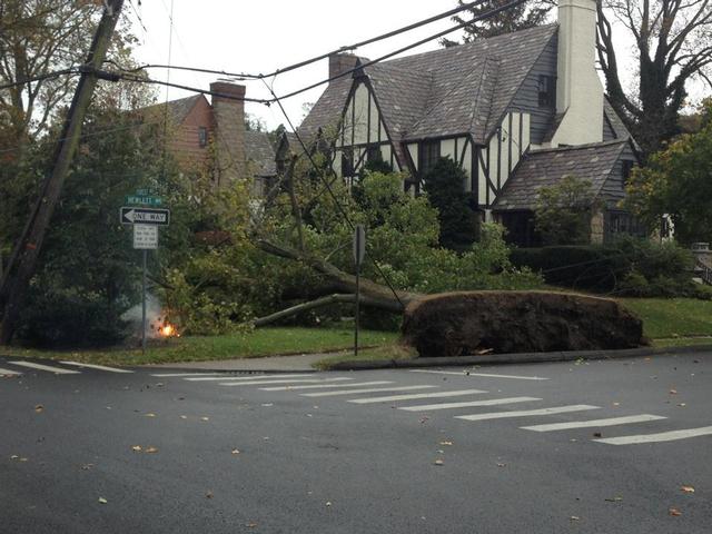 Hurricane Sandy 10/29/2012 Forest Ave x Hewlitt Ave 