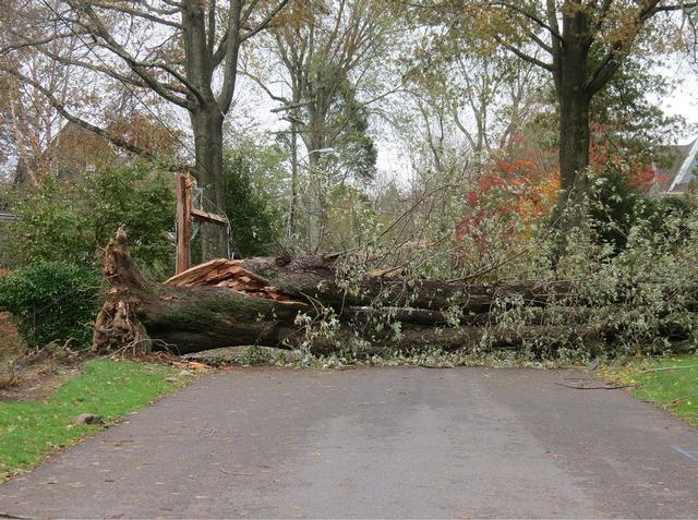 Brown Ave - Hurricane Sandy 10/29/2012 - Photo Courtesy of Mary Coakley