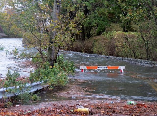 Kirby Lane - Hurricane Sandy 10/29/2012 - Photo Courtesy of Mary Coakley
