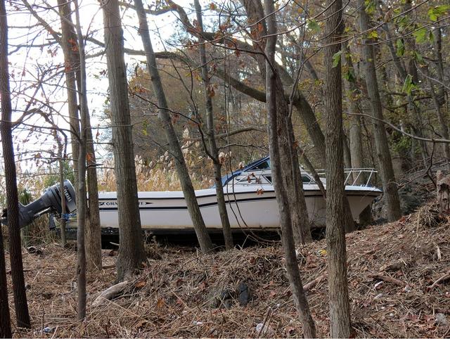 Marshlands Conservancy - Hurricane Sandy 10/29/2012 - Photo Courtesy of Mary Coakley