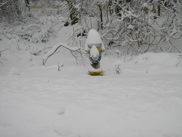 Please shovel out hydrants!  Taken by Firefighter Feeley on Crescent Ave after Blizzard Nemo 2/9/13