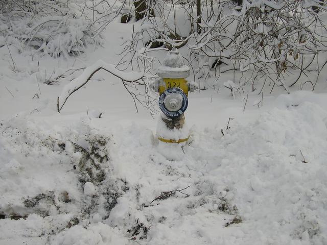 Taken by Firefighter Feeley on Crescent Ave after Blizzard Nemo 2/9/13