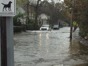 Hurricane Sandy 10/29/2012- Milton Road between Milton firehouse and the harbor, 1st high tide