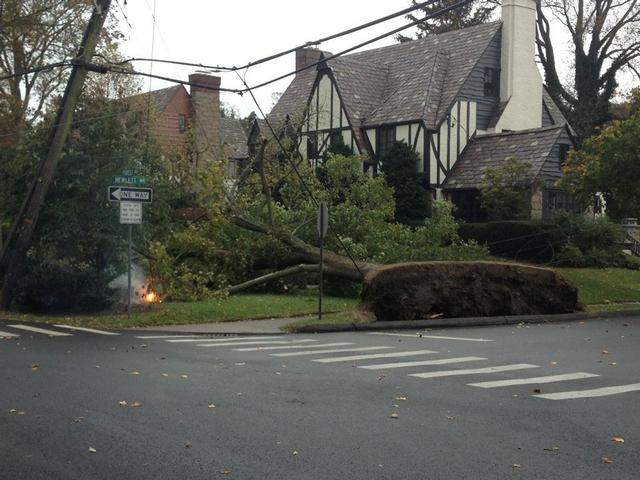 Forest Ave x Hewlett St.  Tree down and wires down.  First call of the storm for the FD